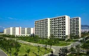 重庆高考多少分能录取上海外国语大学？2024年历史类录取分600分 物理类最低616分