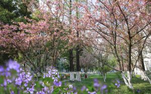 山东考生508分左右可以录取哪些公办本科大学？（供2025年考生参考）