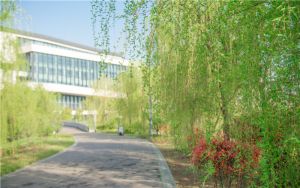 北京高考多少分能上湘潭大学？附2022-2024年最低录取分数线