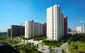 云南考生619分左右能考上什么好的本科大学？（附带2022-2024年619左右高校名单）