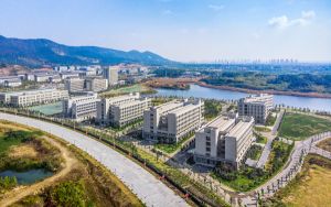 安徽高考多少分报考成都大学？2024年历史类506分 物理类投档线530分