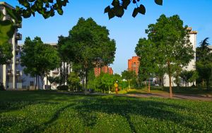 福建437分左右的考生可以报考哪些公办本科大学？ 2024年一共录取2所大学