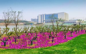重庆考生511分左右可以录取哪些公办本科大学？（附带2022-2024年511录取名单）