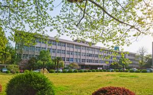 湖北507分左右的考生可以报考哪些大学？ 2024年录取最低分507的大学