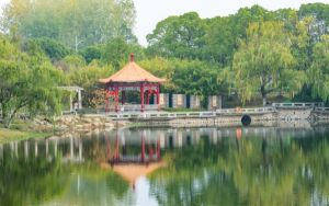广东高考多少分能录取河北外国语学院？附2022-2024年最低录取分数线