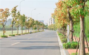 青海高考多少分能考上太原师范学院？2024年文科投档线425分 理科最低383分