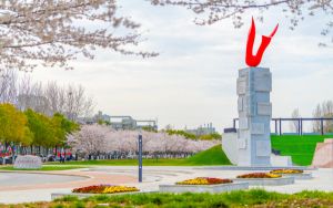 重庆高考多少分能录取武夷学院？附2022-2024年最低录取分数线