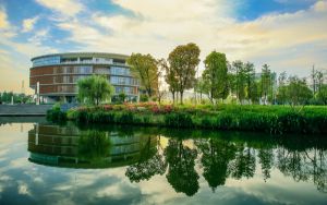 湖北521分考生都可以填报哪些公办大学？（供2025年考生参考）