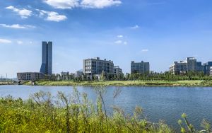 上海考生442分可以填报哪些高校名单？ 2024年一共43所大学录取