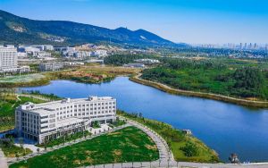 福建高考多少分报考东北大学？2024年历史类录取分591分 物理类投档线621分