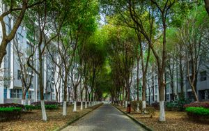 福建高考多少分能录取浙江师范大学？附2022-2024年最低录取分数线