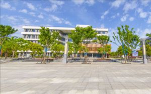 西藏高考多少分能考上湖南农业大学东方科技学院？附2022-2024年最低录取分数线