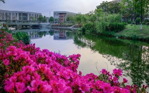 海南526分考生可以报考哪些公办本科大学？（附带2022-2024年526录取名单）