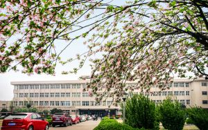 四川高考多少分报考北京化工大学？附2022-2024年院校最低投档线