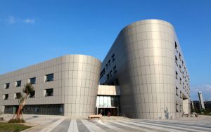 广西高考多少分能录取厦门大学嘉庚学院？2024年历史类投档线438分 物理类投档线413分