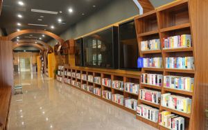 广东高考513分左右报考的公办本科大学都有哪些？（附带2022-2024年513左右大学名单）