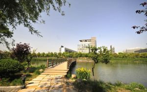 江苏高考多少分能考上浙江农林大学暨阳学院？附2022-2024年最低录取分数线