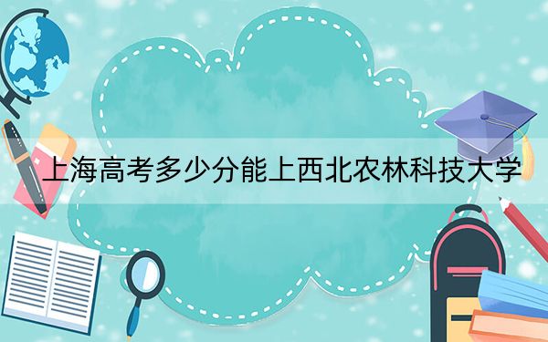 上海高考多少分能上西北农林科技大学？2024年综合最低分528分