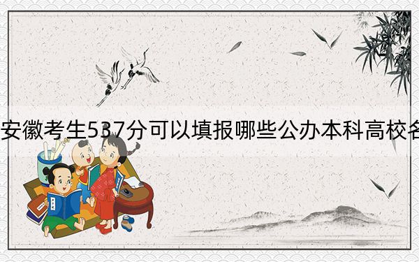 安徽考生537分可以填报哪些公办本科高校名单？
