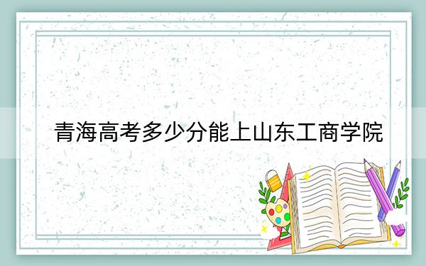 青海高考多少分能上山东工商学院？2024年文科425分 理科353分