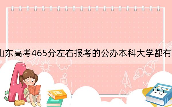 山东高考465分左右报考的公办本科大学都有哪些？