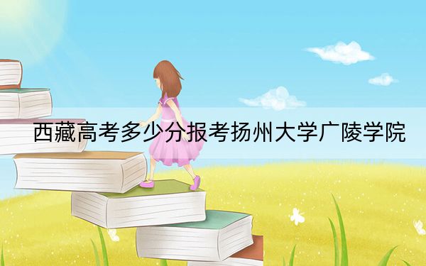 西藏高考多少分报考扬州大学广陵学院？2024年分