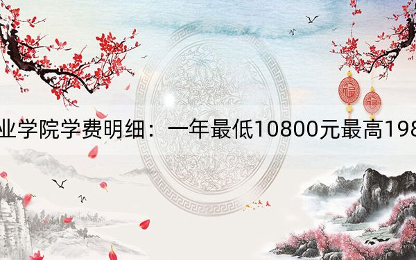 2024年武昌职业学院学费明细:一年最低10800元最高19800元(各专业收费标准)