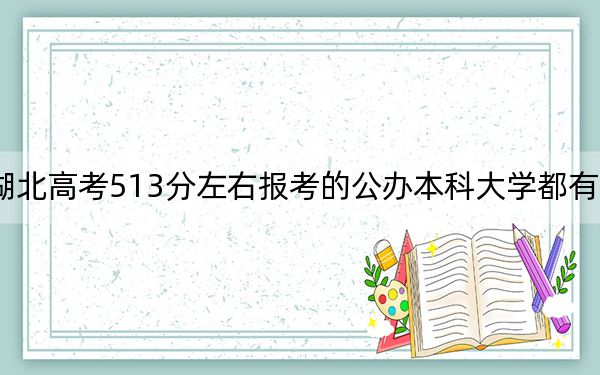 湖北高考513分左右报考的公办本科大学都有哪些？ 2024年高考有70所最低分在513左右的大学
