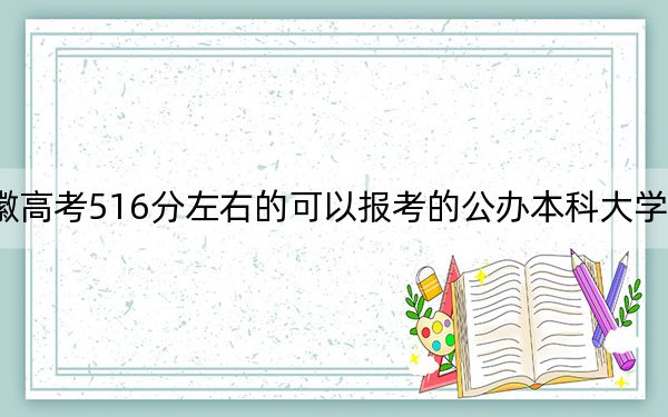 安徽高考516分左右的可以报考的公办本科大学名单!