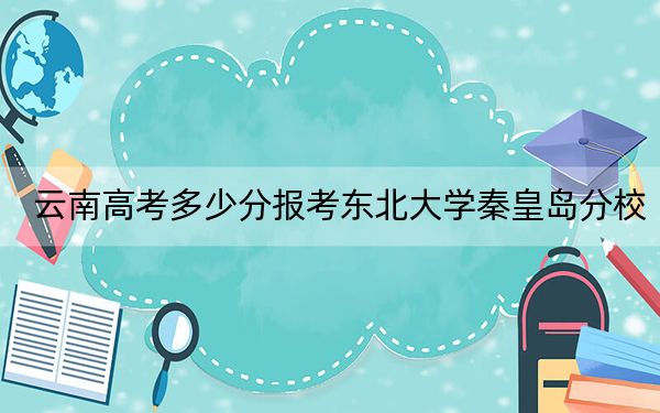 云南高考多少分报考东北大学秦皇岛分校？2024年文科最低609分 理科录取分599分