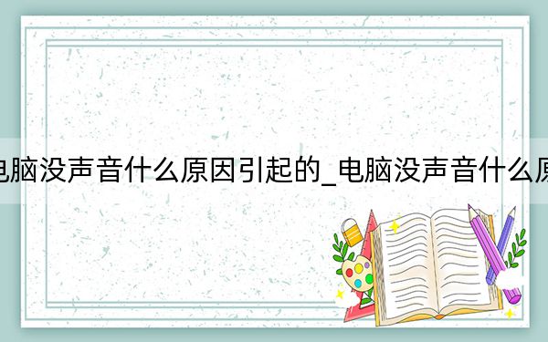电脑没声音什么原因引起的_电脑没声音什么原因