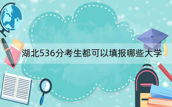 湖北536分考生都可以填报哪些大学？（附带近三年536分大学录取名单）