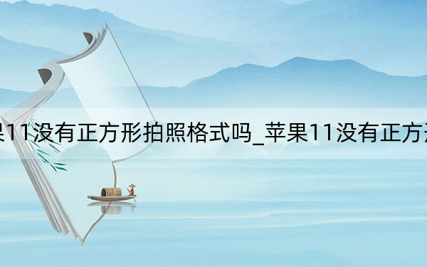 苹果11没有正方形拍照格式吗_苹果11没有正方形拍照吗