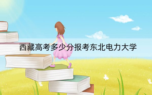 西藏高考多少分报考东北电力大学？附2022-2024年最低录取分数线