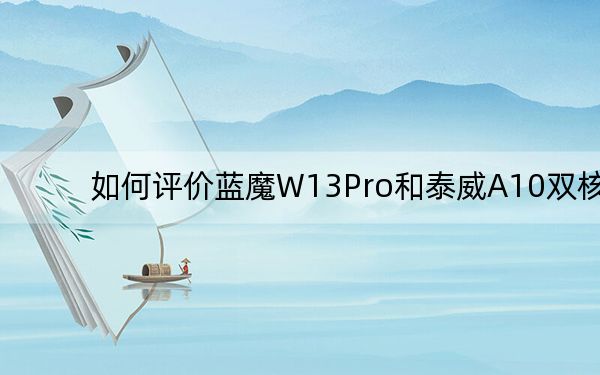 如何评价蓝魔W13Pro和泰威A10双核？