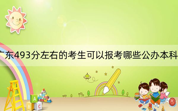 广东493分左右的考生可以报考哪些公办本科大学？（供2025年考生参考）
