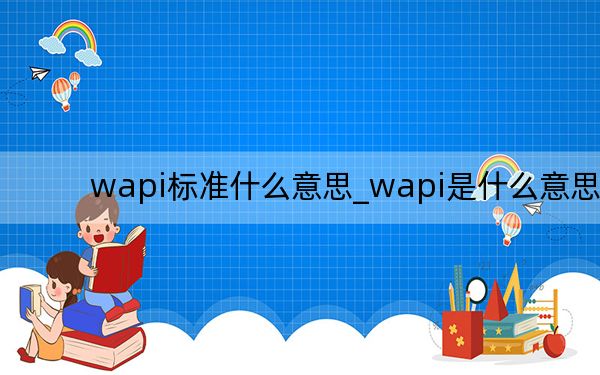 wapi标准什么意思_wapi是什么意思