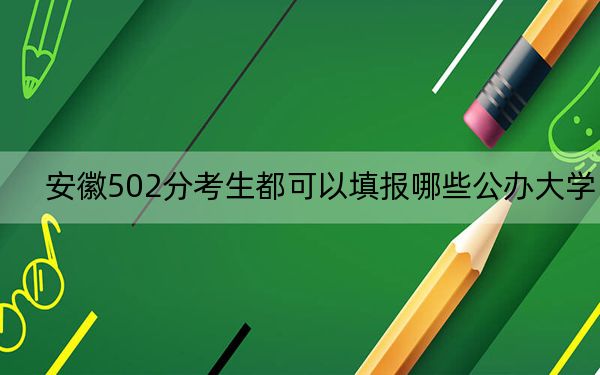 安徽502分考生都可以填报哪些公办大学？（供2025年考生参考）
