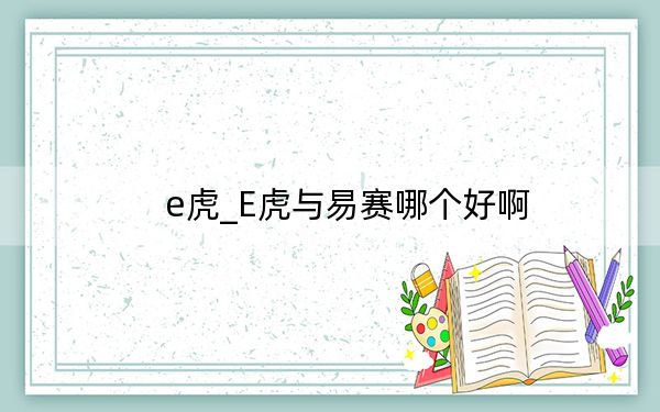 e虎_E虎与易赛哪个好啊