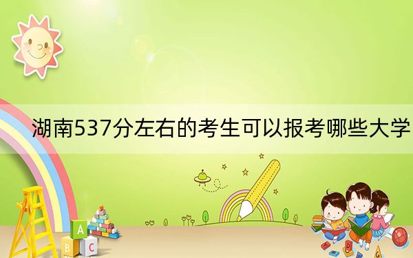 湖南537分左右的考生可以报考哪些大学？（供2025年考生参考）