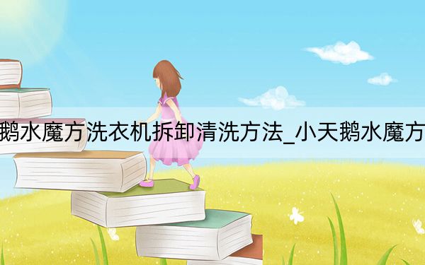 小天鹅水魔方洗衣机拆卸清洗方法_小天鹅水魔方洗衣机