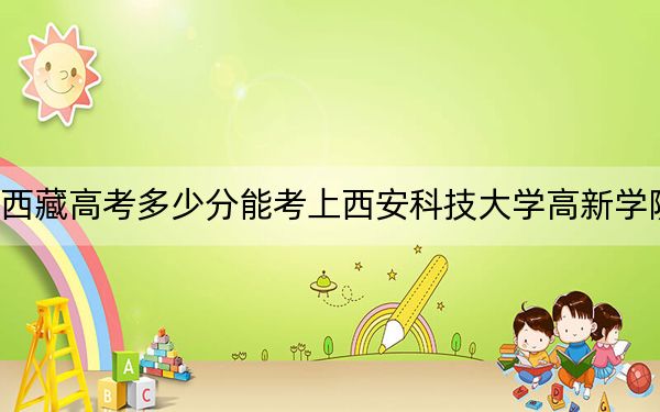 西藏高考多少分能考上西安科技大学高新学院？2024年分