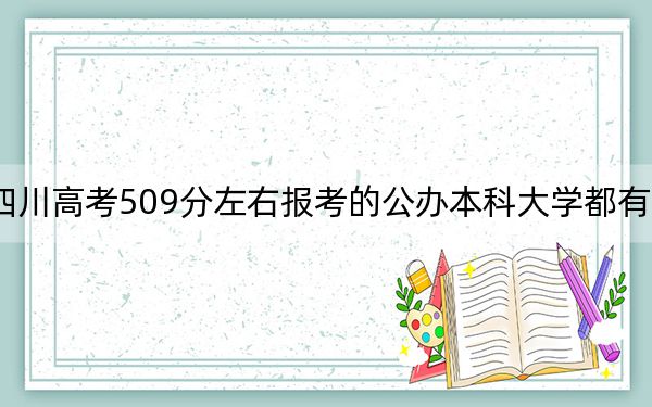 四川高考509分左右报考的公办本科大学都有哪些？ 2025年高考可以填报70所大学