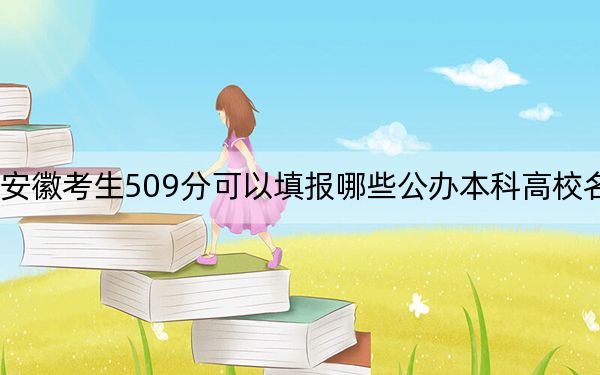 安徽考生509分可以填报哪些公办本科高校名单？ 2025年高考可以填报70所大学
