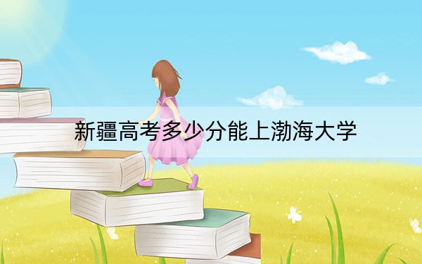 新疆高考多少分能上渤海大学？附2022-2024年最低录取分数线