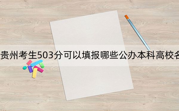贵州考生503分可以填报哪些公办本科高校名单？ 2024年一共33所大学录取