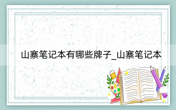 山寨笔记本有哪些牌子_山寨笔记本