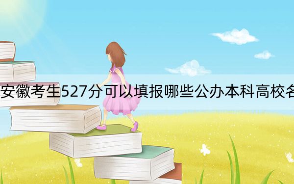 安徽考生527分可以填报哪些公办本科高校名单? 2024年高考有70所最低分在527左右的大学