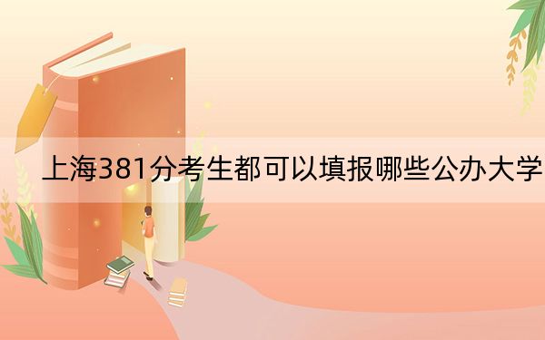 上海381分考生都可以填报哪些公办大学？（附带近三年高考大学录取名单）