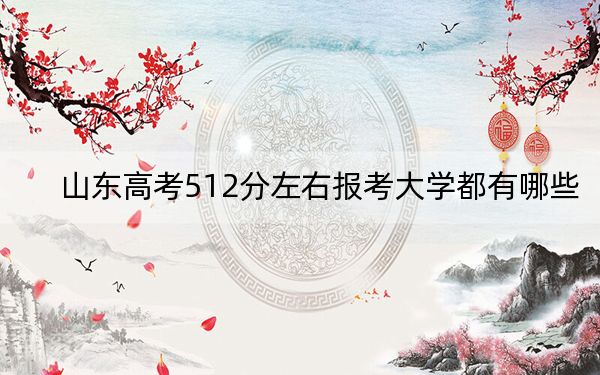 山东高考512分左右报考大学都有哪些？